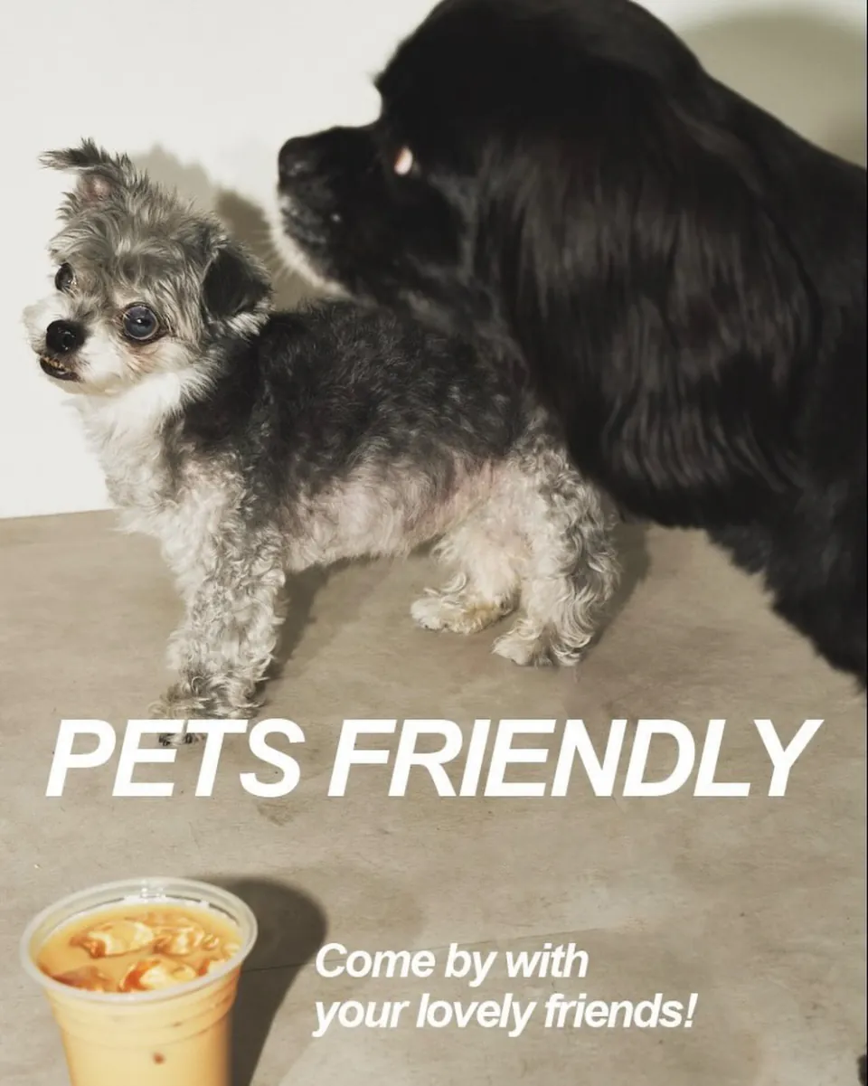 愛犬と一緒に過ごせるS/CAFEのペットフレンドリー案内